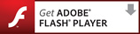 Adobe Flash Player̃_E[h